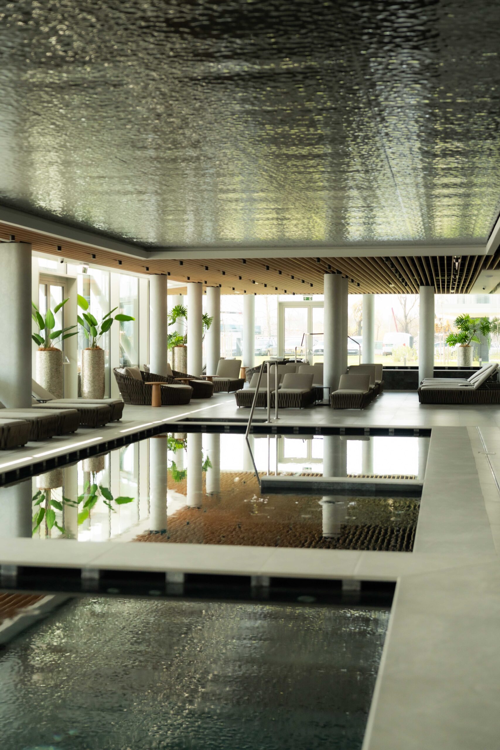 Wellness